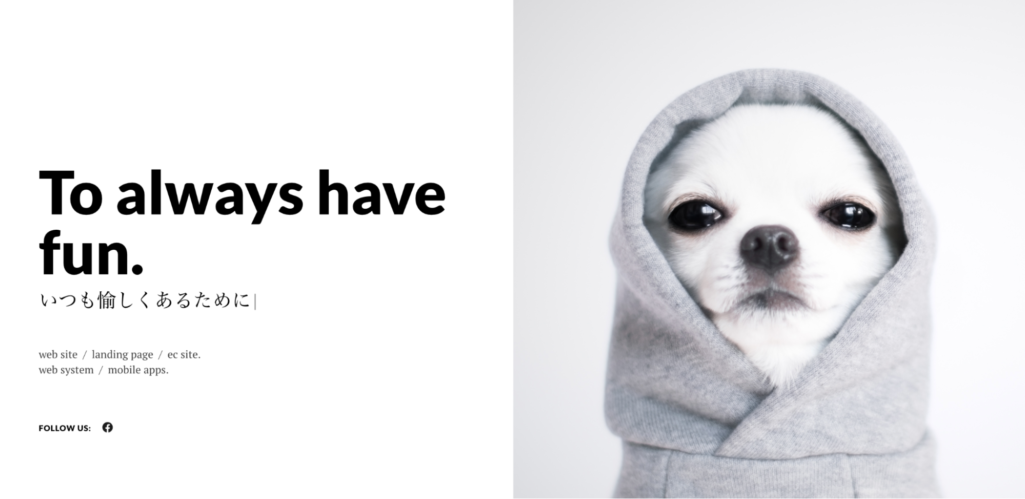 高いシステム構築力が強み|有限会社エコラボ