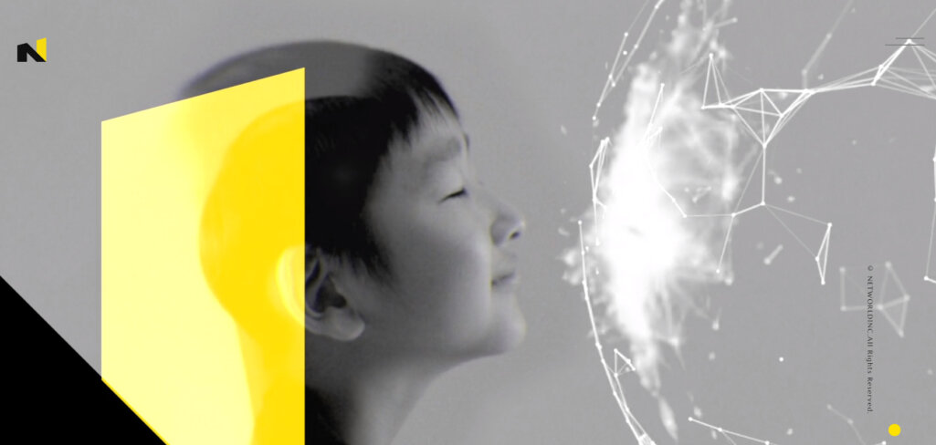 株式会社ネットワールド