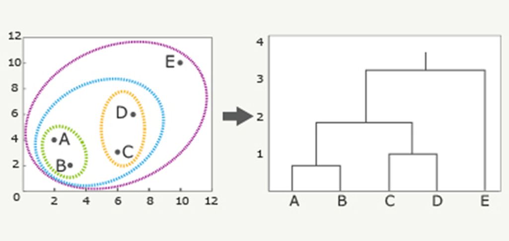 階層クラスター分析