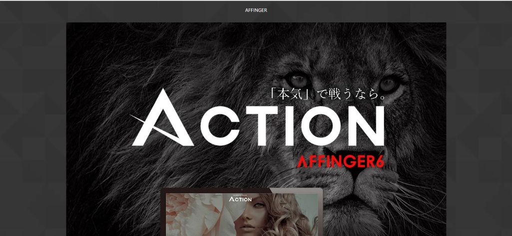 徹底的な最適化:ACTION(AFFINGER6)