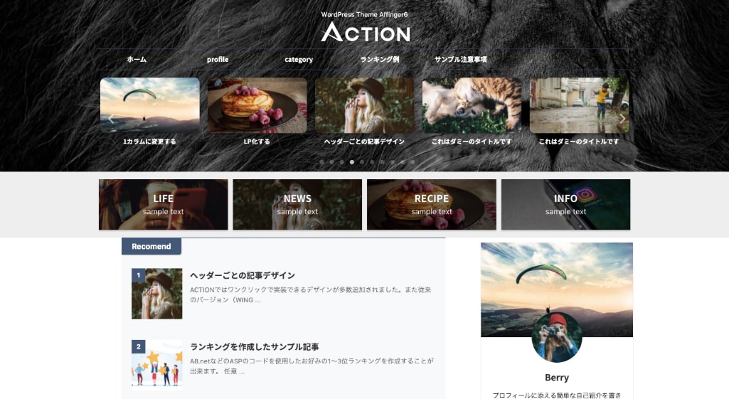 カスタマイズをしやすい「AFFINGER6(アフィンガー6)」