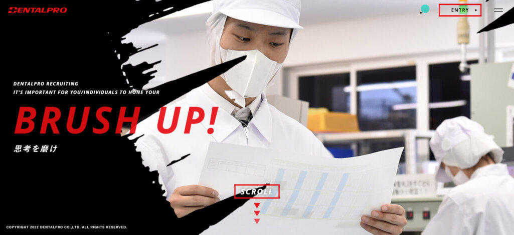 デンタルプロ株式会社