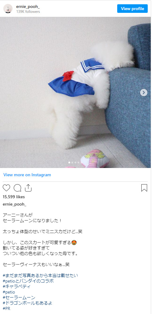 ペティオのインフルエンサーマーケティング事例