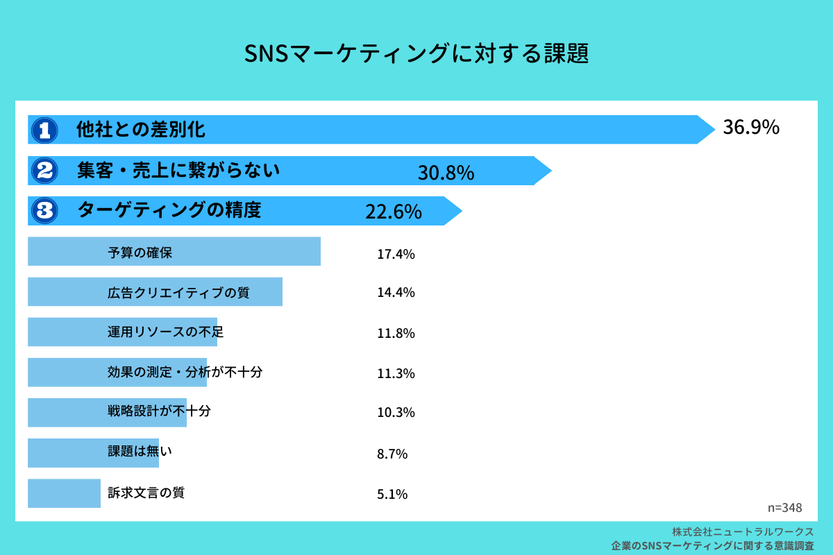 NSマーケティングに対する課題